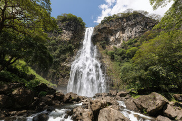 Fototapeta premium immerse yourself in breathtaking beauty of hawaiis lush landscapes featuring majestic waterfalls cascading