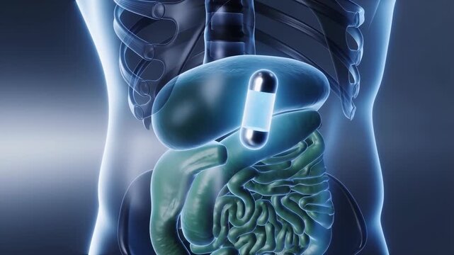 Capsule endoscope is shown inside the human digestive system with visible internal organs. Concept of medical innovation, internal diagnostics.