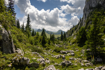 Scenic Valley in Diemtigtal in the Bernese Alps, Switzerland