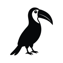 Fototapeta premium toucan isolated on white