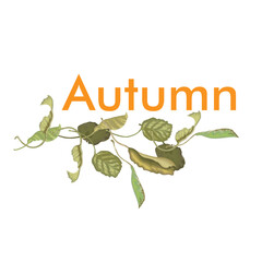An elegant autumn-themed illustration featuring hand-drawn leaves and a simple, minimalist text that says "Autumn". Suitable for seasonal greetings, scrapbooking, packaging.