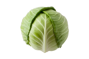 Fototapeta premium Green cabbage head with visible veins vegetable fresh