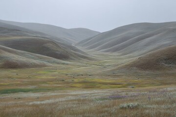 Obraz premium Misty valley with rolling hills and wildflowers
