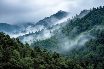 Misty mountain range with dense forest (1)