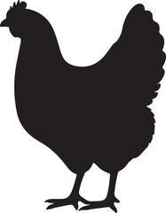 Welsummers hen in silhouette white backgrpound pure.