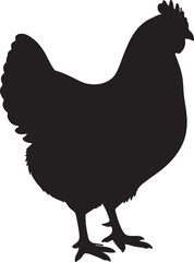  Wyandottes hen in silhouette white backgrpound pure.