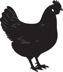 Wyandottes hen in silhouette white backgrpound pure.