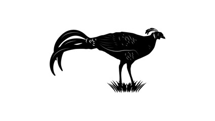 Siamese Fireback, black isolated silhouette
