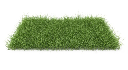 A lush green rectangular patch of grass on a white background