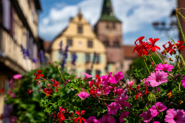 Colorful houses line the streets of Alsace France in Beautiful Village 