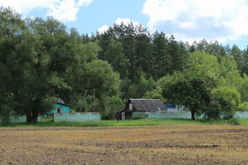 Traditional Belarusian countryside house in summer, rural landscape with green field and forest, peaceful village scenery, Slavic nature, idyllic pastoral view