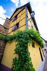 Colorful houses line the streets of Alsace France in Beautiful Village 