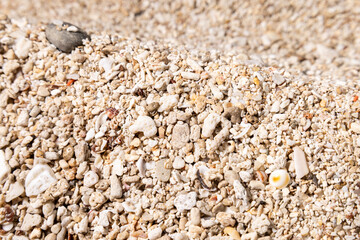 Coastal Pebbles and Fine Sand Background for Organic Themes