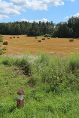 Summer rural landscape in Belarus with golden wheat field, straw bales, green forest and blue sky