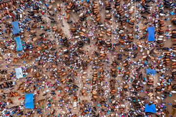 Aerial view of a bustling animal market, a symphony of browns and whites punctuated by vibrant blue tarps, teeming with life and commerce, Mahasthan, Rajshahi Division, Bangladesh.