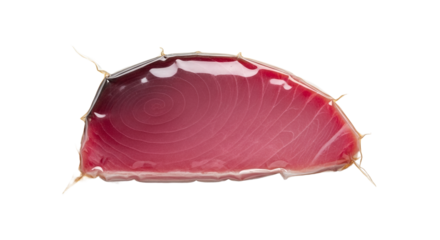 VacuumSealed Red Fish Steak Fresh Seafood Sushi Grade Tuna Restaurant Quality Raw Food Go