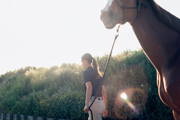 Horsewoman leading horse at sunrise in countryside paddock