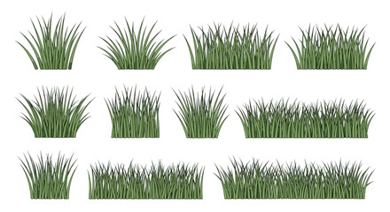 Collection of green grass tufts and borders for landscape design and gardening projects
