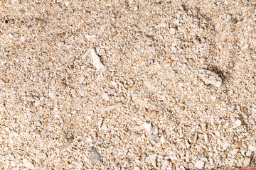 Natural Beach Sand and Pebbles Texture for Background Use