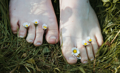 Top view of barefoot woman with daisies between toes on green grass