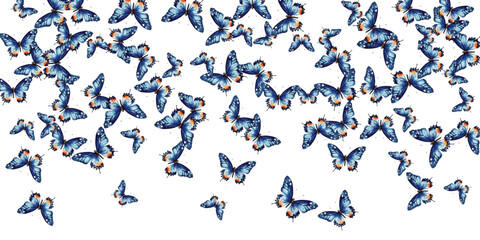 Naklejka premium Adobe Illustrator Artwork