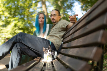 Kitten relaxing on bench with owners in park
