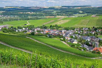 Moselle Valley Wine Growing region in Luxembourg 
