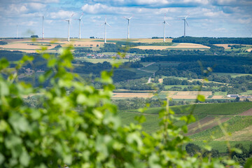 Moselle Valley Wine Growing region in Luxembourg 