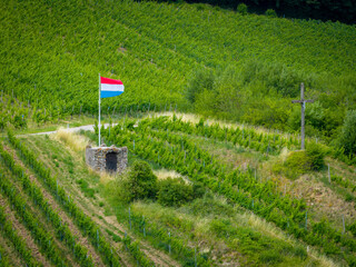 Moselle Valley Wine Growing region in Luxembourg 