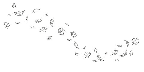  Doodle Falling leaves Autumn foliage black tree leaves on transparent background Autumn illustration Vector doodle illustration