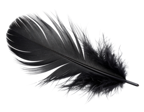  Single black feather gently floating isolated on transparent background PNG