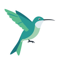 Fototapeta premium A vibrant teal hummingbird in flight, wings spread, showcasing its delicate features against a white background.