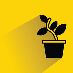 tree plant pot icon with shadow yellow background