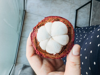 Interior of fresh mangosteen fruit showing white segmented flesh inside thick purple rind,...