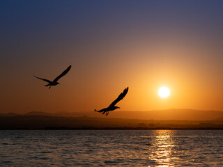 Albufera Natural Park in Valencia (Spain)