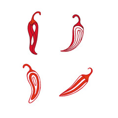 hot chili pepper. Red chili pepper hand drawn illustration. Vibrant red chili pepper illustration. Hand drawn red chili pepper. Red chili pepper doodle. Spicy Red Vegetable Hand Drawn Illustration.
