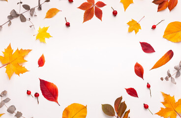 Colorful fallen leaves forming round frame for promotion on white background, copy space