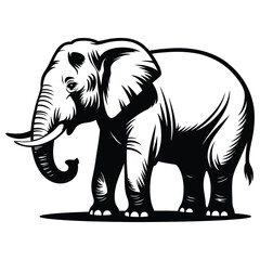 elephant vector illustration