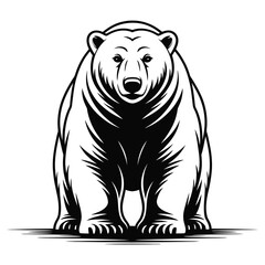 polar bear vector