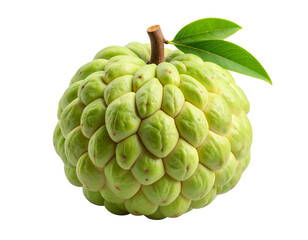  Whole custard apple tropical green fruit with textured skin isolated on transparent background PNG