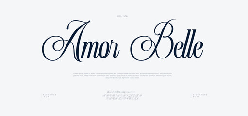 Amora Script Elegant Signature Typeface. signature Font Calligraphy Logotype Script elegant Font Type Font lettering handwritten




