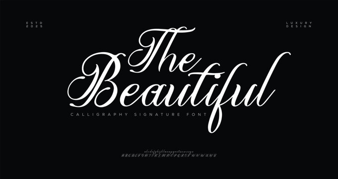 The Beautiful Luxury Signature Script Font. signature Font Calligraphy Logotype Script elegant Font Type Font lettering handwritten


