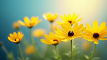 Yellow flowers against a vibrant blue background, creating a striking contrast in colors.