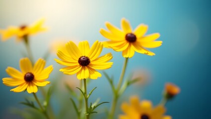 Yellow flowers against a vibrant blue background, creating a striking contrast in colors.