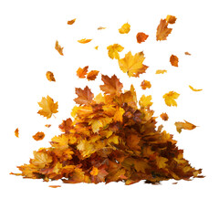 Pile of fall leaves blowing isolated on transparent background