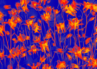  Abstract digital artwork of columbine flowers in intense orange and blue hues creating a striking visual effect. 