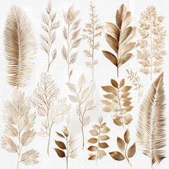 Elegant beige botanical elements create a natural, delicate, and sophisticated aesthetic for design projects