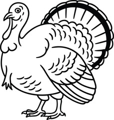 Turkey Line Art Illustration – Festive Bird Outline Vector