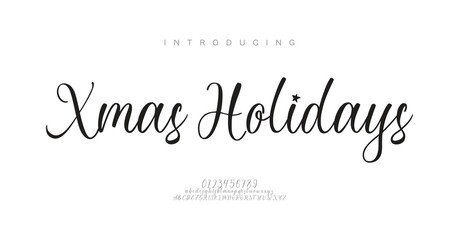 Christmas Signature Typeface. signature Font Calligraphy Logotype Script elegant Font Type Font lettering handwritten


