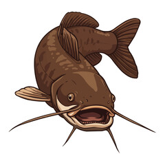 Brown Catfish Illustration with Whiskers and Open Mouth